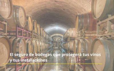 seguro bodega