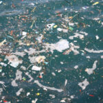  ¿Tiene tu empresa un plan para eliminar el plástico de un solo uso? 