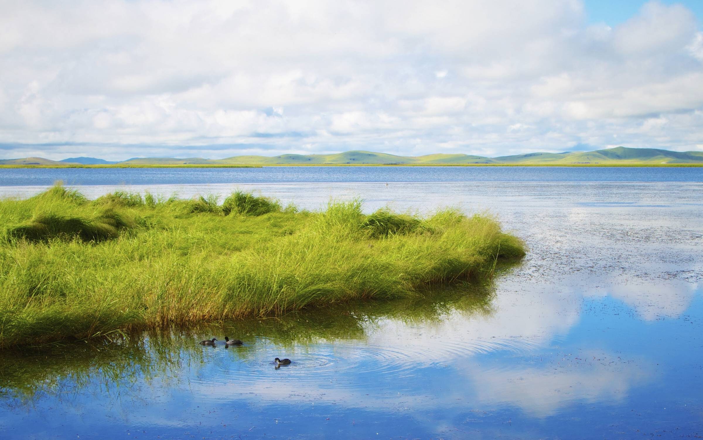 nueva ley responsabilidad medioambiental