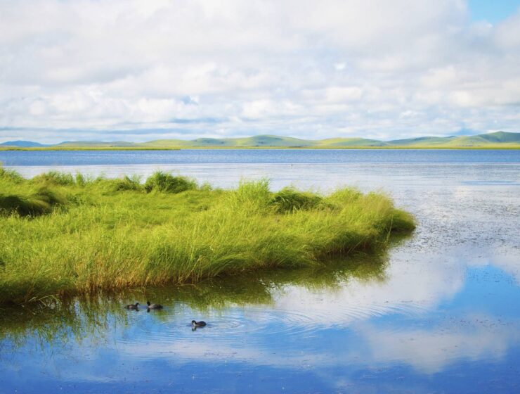 nueva ley responsabilidad medioambiental