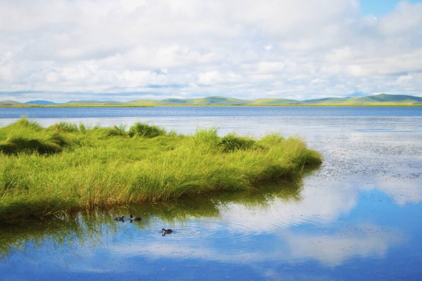 nueva ley responsabilidad medioambiental