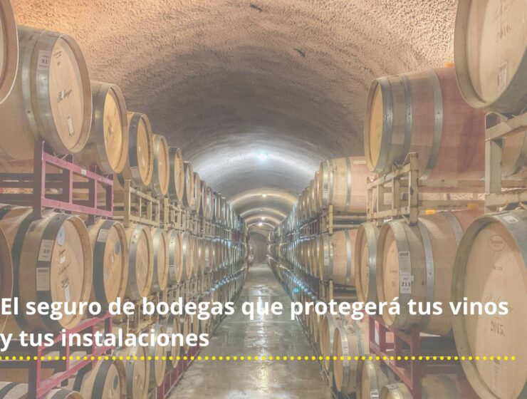 seguro bodega