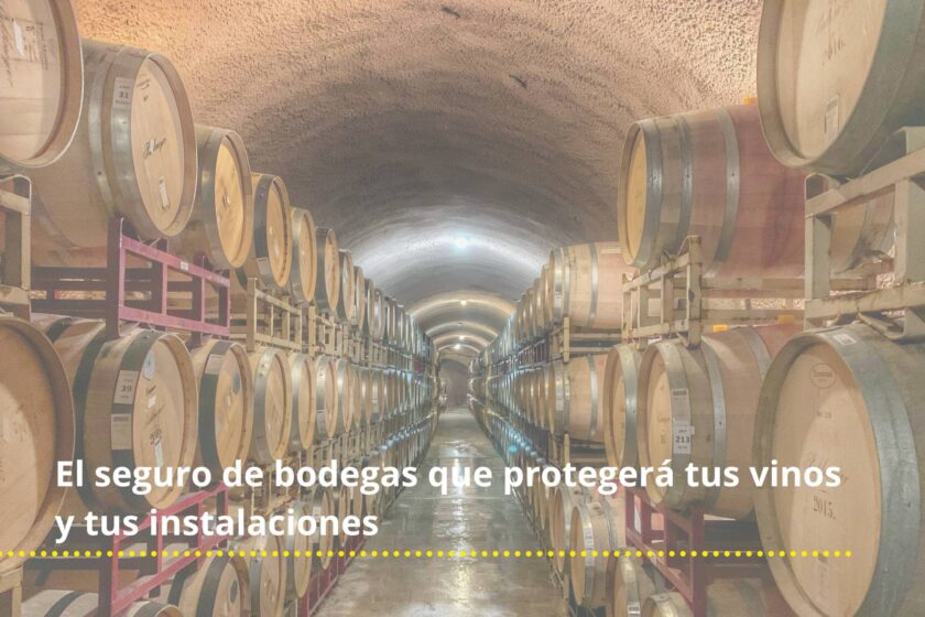 seguro bodega