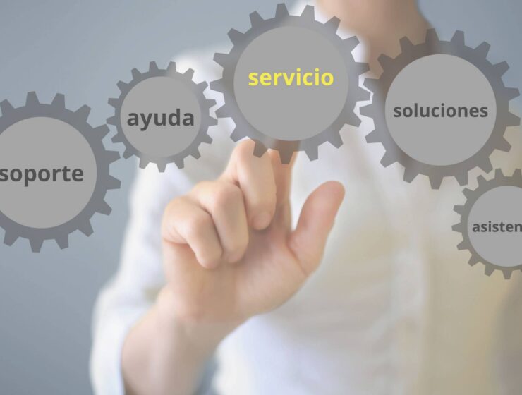 ampliación servicios bravo y cia