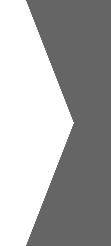 BKG 4 e1716188850980