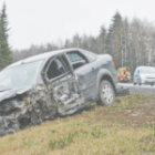 Accidentes con animales: descubre si tu seguro de auto realmente te protege