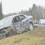 Accidentes con animales: descubre si tu seguro de auto realmente te protege