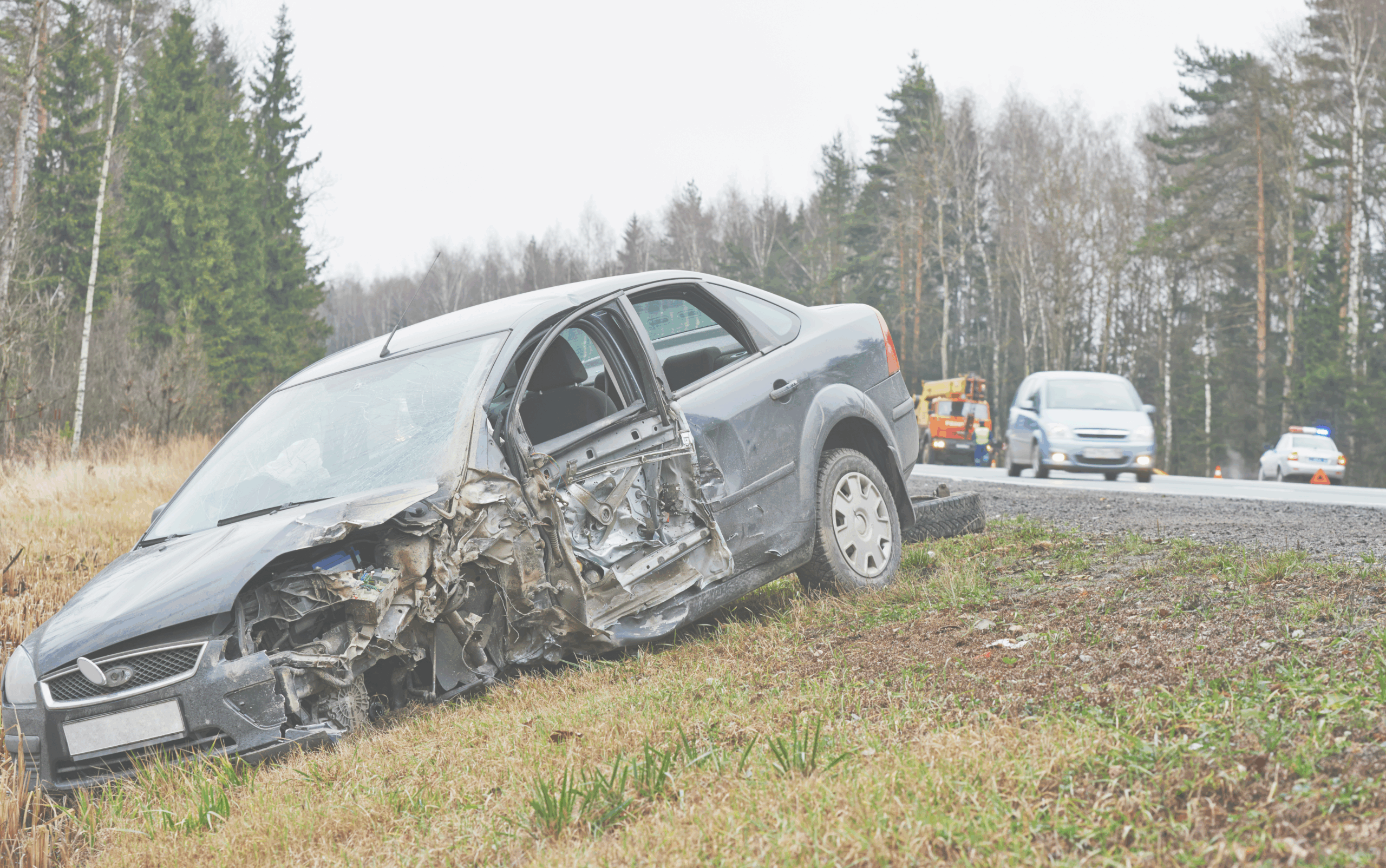 accidentes con animales