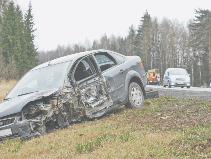 accidentes con animales