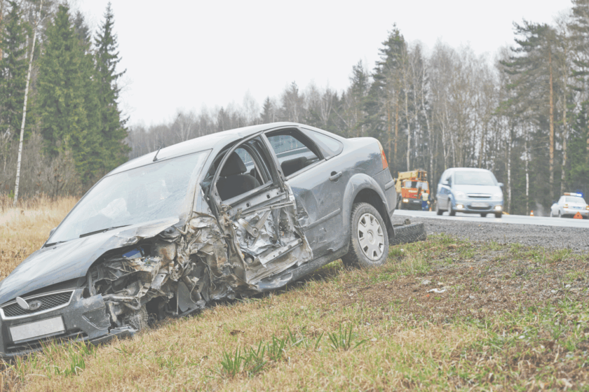 accidentes con animales