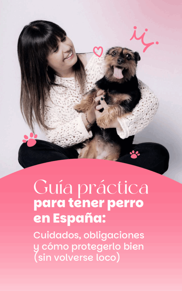 guia seguro mascotas
