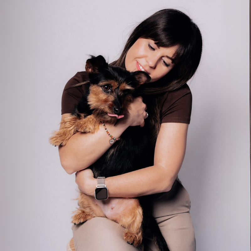 seguro para perros